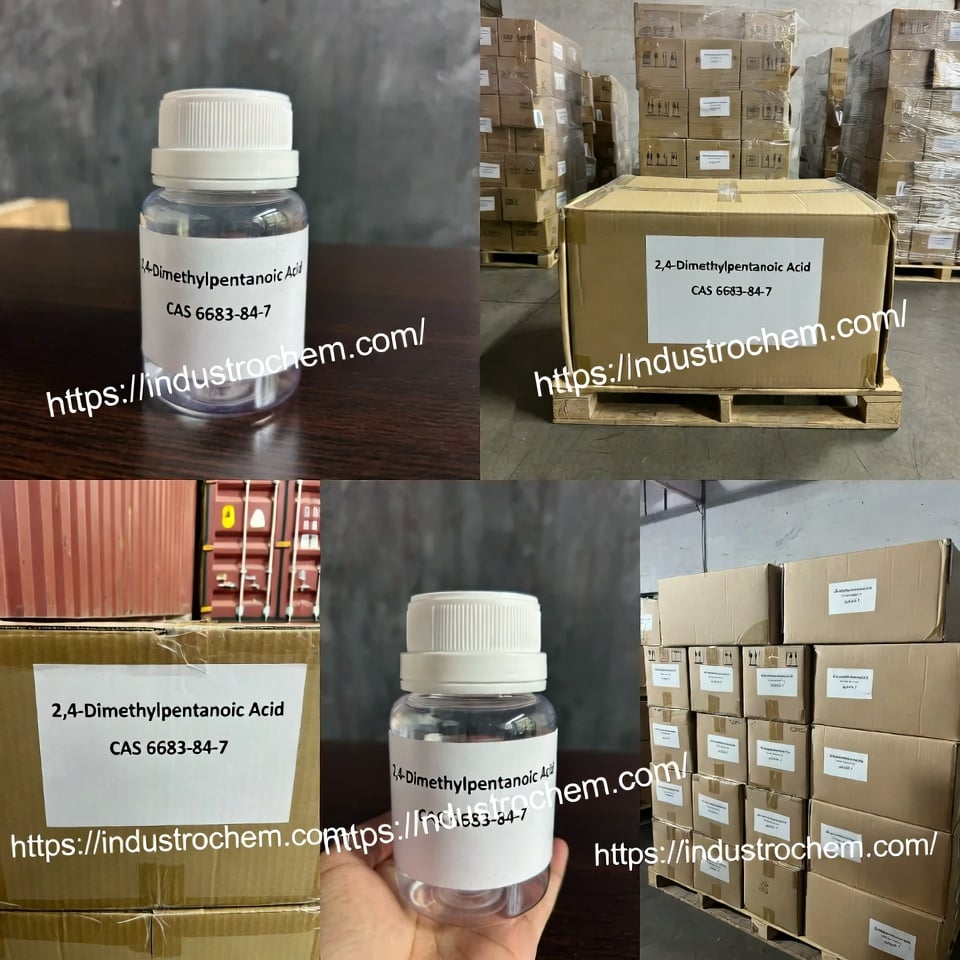 Ácido 2,4-dimetilpentanoico CAS 6683-84-7