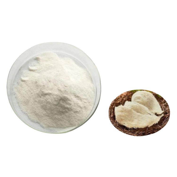 N-Acetylneuraminic Acid Powder CAS 131-48-6