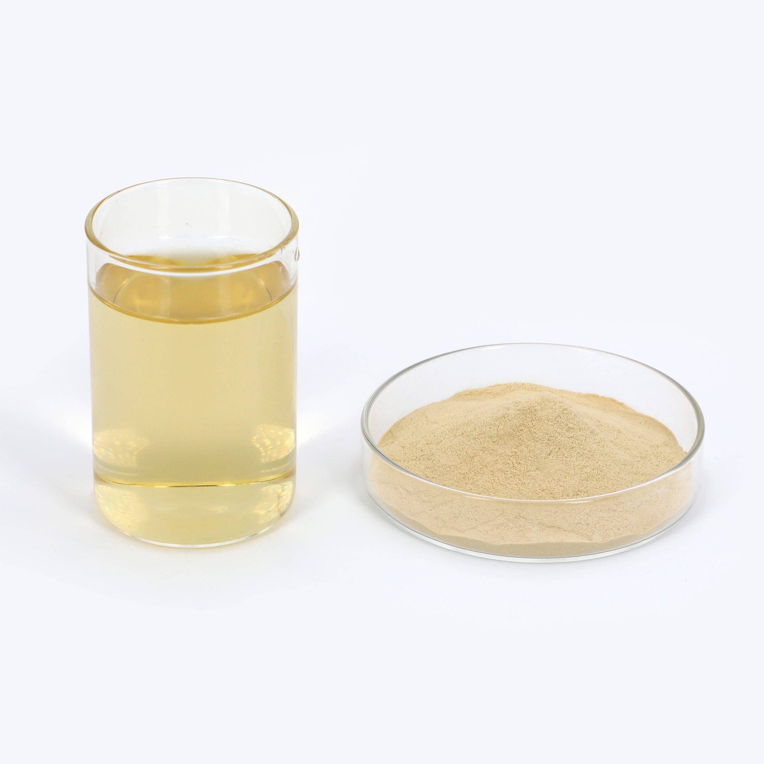 Casein Hydrolysate (Amino Acid Powder) CAS 65072-01-7
