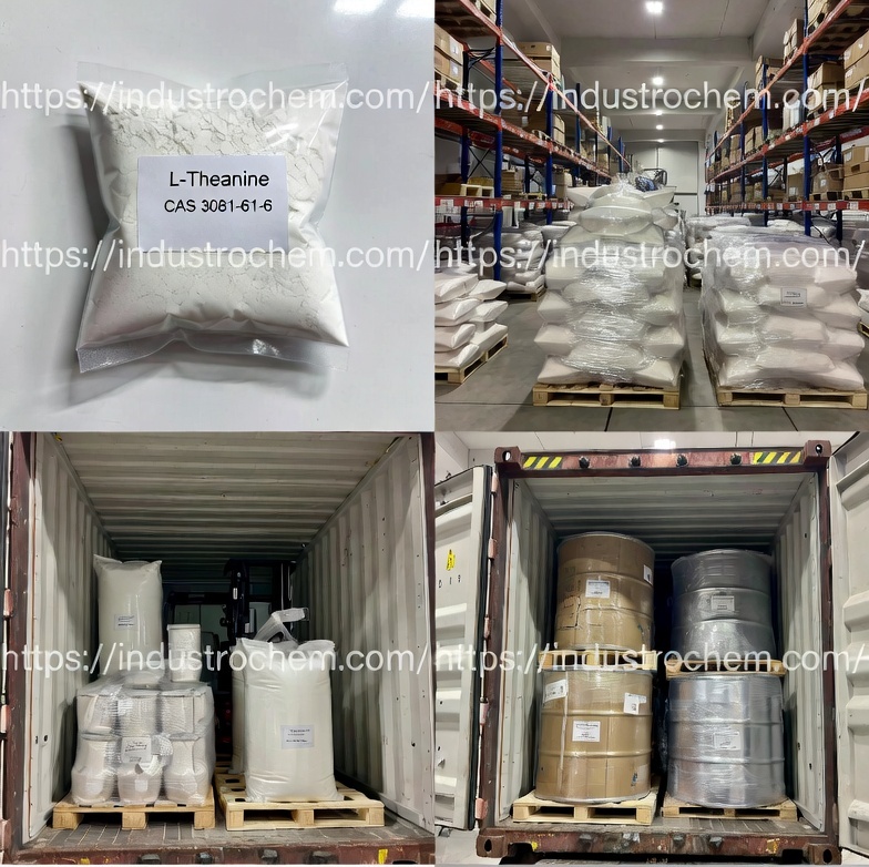 L-teanina CAS 3081-61-6-1 L-teanina CAS 3081-61-6